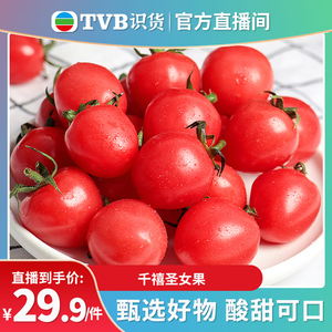 【tvb识货专属】顺丰包邮圣女果山东圣女果新鲜水果柿子小番茄生