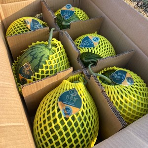 90淘香村农产品淘宝要种瓜