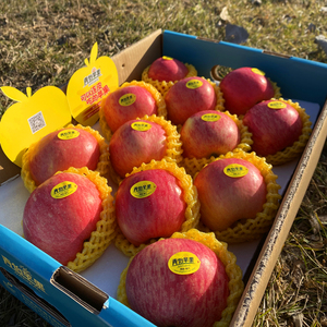 2斤脆甜多汁苹果陕西洛川红富士农产品