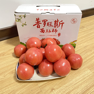 正宗普罗旺斯西红柿4斤礼盒装 新鲜水果番茄酸酸甜甜直接吃