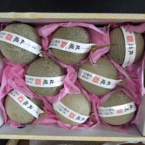 静冈夕张玫珑蜜瓜 5-8只装 爆甜 玫珑口口蜜瓜 玫珑蜜瓜净重14斤