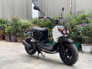 原装正品进口全新电喷本田祖玛110cc小踏板摩托车男女代步助力车