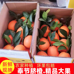 重庆奉节脐橙当季新鲜孕妇水果20斤福本现摘手剥甜橙子10斤大果