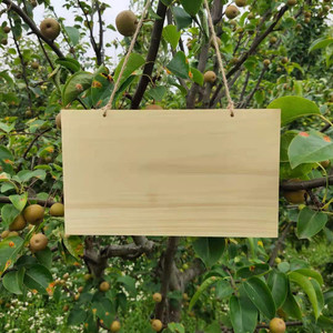 自制实木空白板手写小木牌原木木牌树木标识装饰挂牌吊牌标签牌