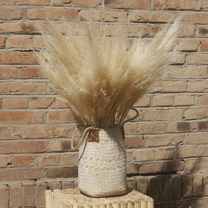 服装店芦苇装饰插花