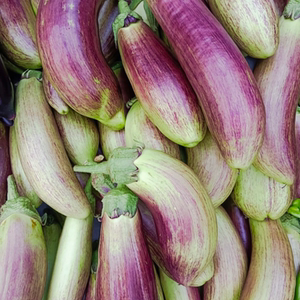 重庆农家自种新鲜紫花茄子本地茄长茄子烧烤茄子当季新鲜时令疏菜