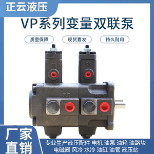 液压油泵叶片泵VP40-40 VP20-20 VP30-30 -FA3双联泵 电动