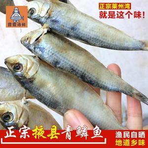 青鳞鱼 莱州湾特产 掖县名吃 小青鱼500g 小咸鱼 烟台水产干货