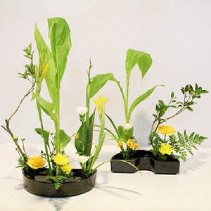 半圆形加厚塑料花盒插花花道教学花艺师用品花器多肉植物半圆花器