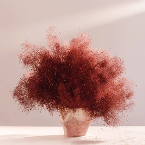 粉黛乱子草花束