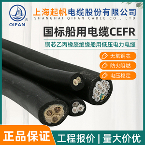上海船用电缆CEFR2芯3芯4芯5芯*1/1.5/2.5/4/6/10平方软电缆