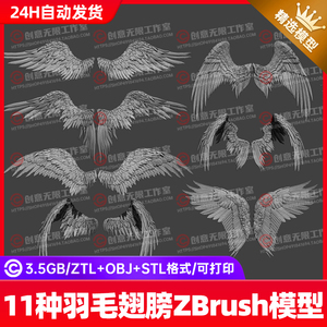 zbrush鸟类龙类生物羽毛翅膀雕刻模型stl手办打印3D模型zb羽毛刷