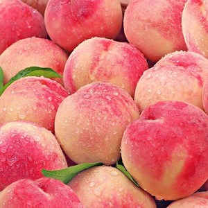 丹东河口新鲜燕红桃艳红桃水蜜桃毛桃甜桃子新鲜水果10斤