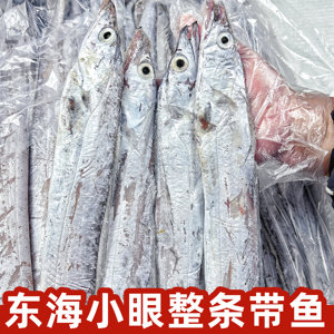 10斤东海小眼睛带鱼整条新鲜冷冻冰冻刀鱼鲜活海鲜整箱水产大包邮