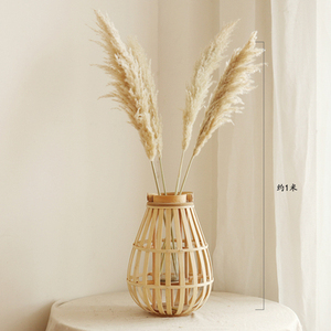 芦苇干花大灯笼竹编花器皮扣花瓶桌面摆件店铺陈列软装