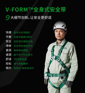 赛车安全带五点式