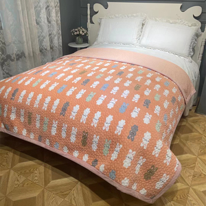 韩国进口貂绒床盖双面两用榻榻米垫四季通用加厚纯棉2022新款床单