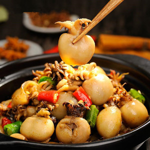 宏泰捞佬墨鱼仔450g 冷冻目鱼仔清蒸白灼干锅火锅食材