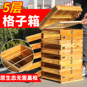 【中蜂格子箱】中蜂格子箱品牌,价格 - 阿里巴巴