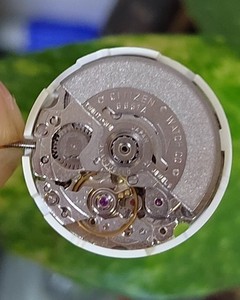 日本原旧机芯女西铁城6601(二手)修复好修表适拍