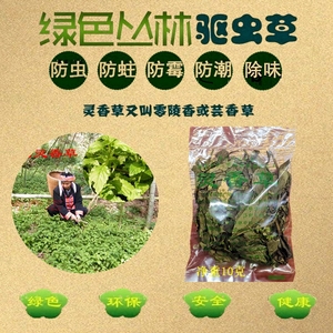 灵香草广西金秀大瑶山零陵香10g装衣柜书柜档案驱虫防虫芸草包邮