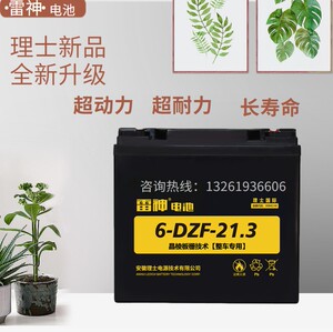 新理士雷神电池6-dzf-21.3电瓶车电动助力车4支12v21.3ah正品包邮