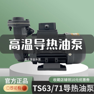 TS-63/71高温油泵模温机油泵200°C耐高温导热油泵热油循环增压泵