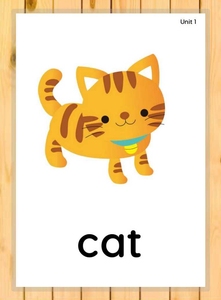 华来数码专营店天猫新概念青少版入门级背英语单词卡片ab老师教具