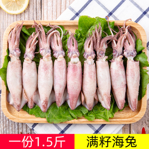 冷冻海兔籽