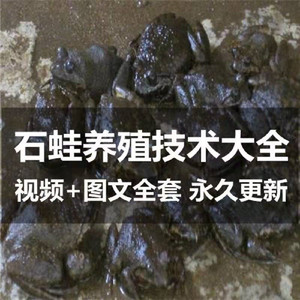 石蛙养殖技术棘胸蛙人工饲养喂养教程全套