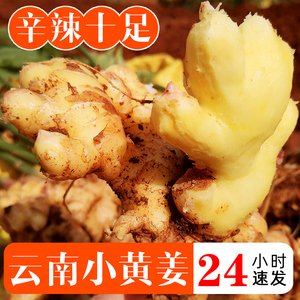 云南小黄姜5斤生姜新鲜姜现挖高山辛辣食用老月子姜蔬菜包邮10