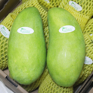 青皮金煌芒青芒果