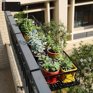 铁艺多肉架子一层阳台花盆长方形挂架放在窗台上的露台花架网红款