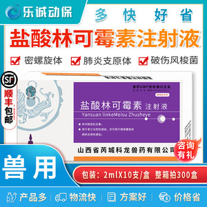 2ml盐酸林可霉素注射液兽药兽用猪牛羊犬猫狗链球菌咳嗽消炎针剂