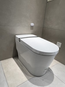 法恩莎轻智能马桶座圈加热离座冲水除臭l1