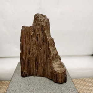 天然奇石木化石原石(直播用链接)