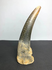 旧藏古玩骨雕天然风干老牛角尖摆件居家装饰怀旧收藏仿古工艺品