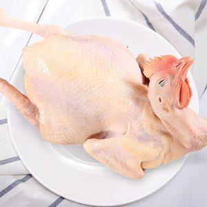 清远鸡三黄鸡冷冻鸡肉整只新鲜现杀农家鸡土鸡广东农家散养走地鸡