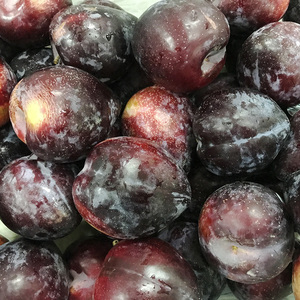 黑布林李子新鲜包邮