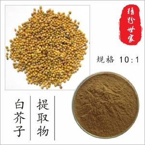 白芥子提取