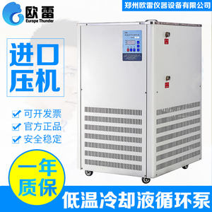 欧雷低温冷却液循环泵DLSB-100L恒温反应浴制冷水机冷井液氮干冰