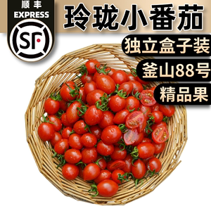 山东烟台玲珑小番茄釜山88号4斤包邮西红柿正宗圣女果新鲜水果