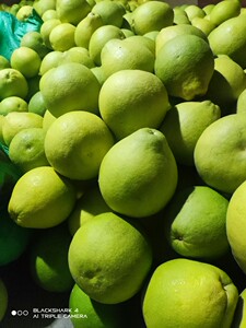 江永香柚沙田柚正宗湖南永州柚子纯甜老树沙田柚