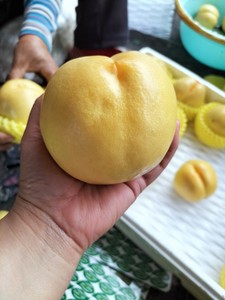 45竹开雪前香淘宝河北唐山乐亭特产虾酱正宗纯手工原味虾酱泡菜调味