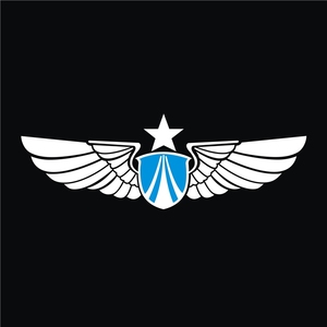 空军标志军徽图片