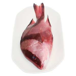 厚今海鲜 冰鲜三刀鱼 刺身鱼 南海水产 新鲜到家 坏单包赔