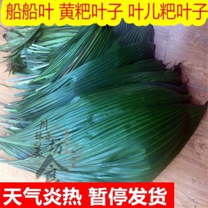 3斤包邮新鲜粑粑叶子黄粑 泡粑叶子 叶儿粑船船叶 散装称重 500g