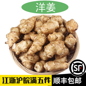 新鲜洋姜500g料理食材鬼子姜jerusalem artichoke菊芋新鲜现挖