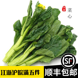 新鲜宁夏菜心500g正宗菜苔时令蔬菜供港菜王小青菜水白菜花
