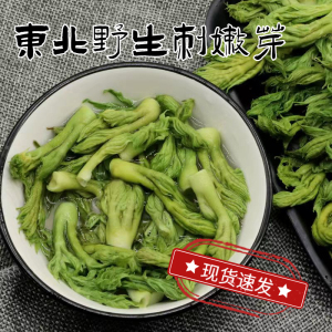 刺嫩芽刺老芽非新鲜山野菜刺龙芽野生东北特产大全刺龙苞蘸酱菜